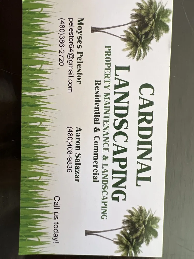 Trusted landscaping services in Mesa, AZ by Cardinal Landscaping
