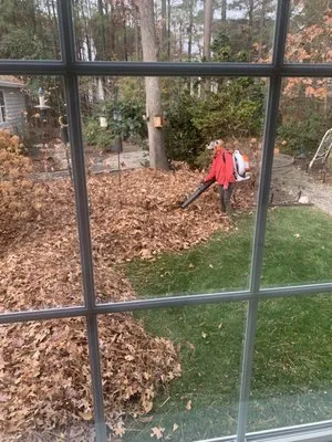 Cardinal Landscaping Logo