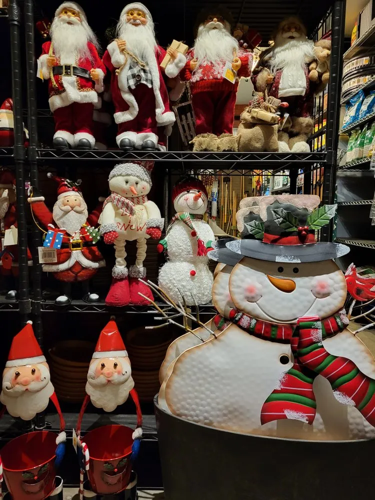 Local lawn care service in Springfield, NJ by Cardinal Lawn & Garden Center