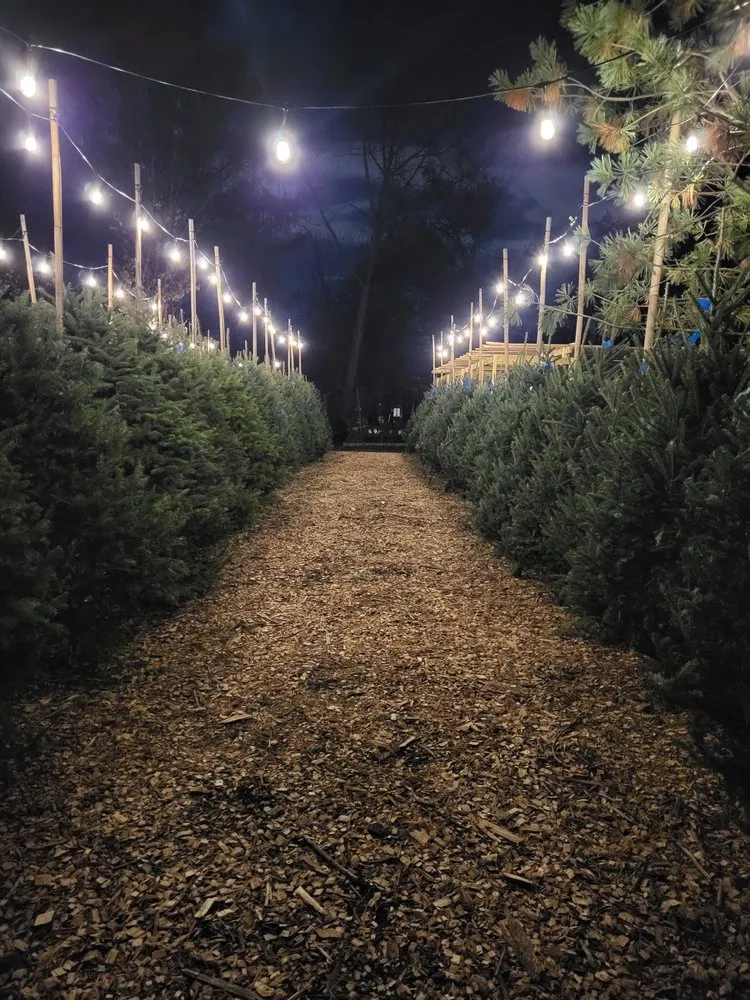 Affordable garden landscaping in Springfield, NJ by Cardinal Lawn & Garden Center