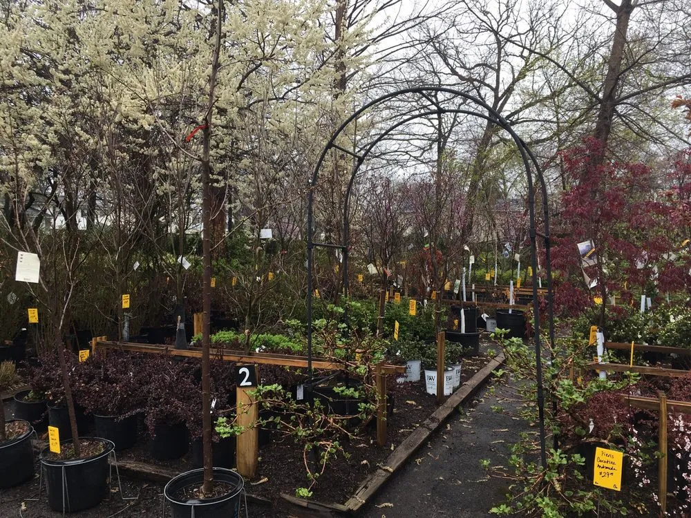 Expert yard maintenance experts serving Springfield, NJ - Cardinal Lawn & Garden Center