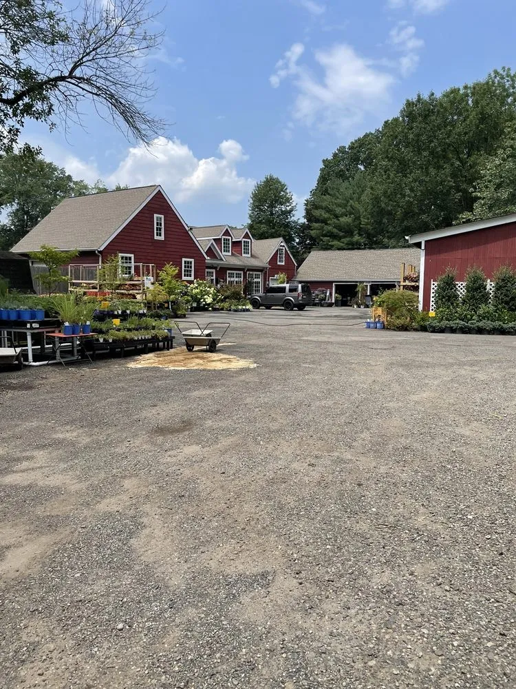 Affordable landscaping services near you in Springfield, NJ by Cardinal Lawn & Garden Center