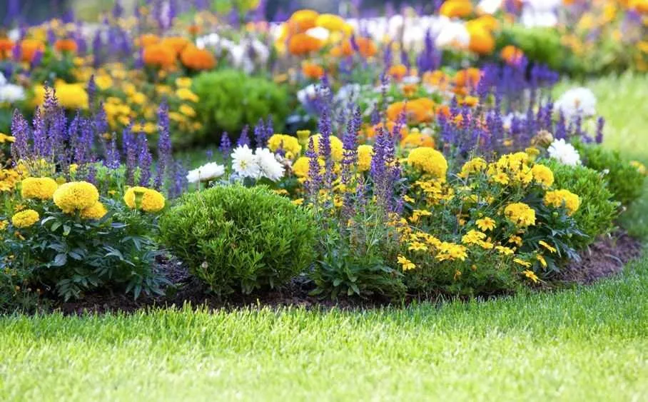 Trusted lawn mowing service for outdoor upgrades across Davison, MI - Cardinal Lawn Care