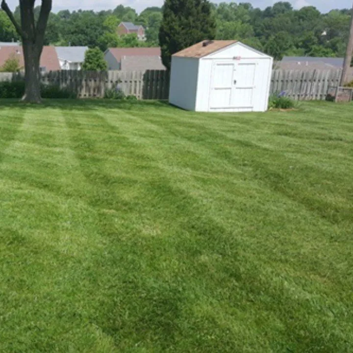 Trusted yard cleanup service experts serving Festus, MO - Cardinal Lawn Care