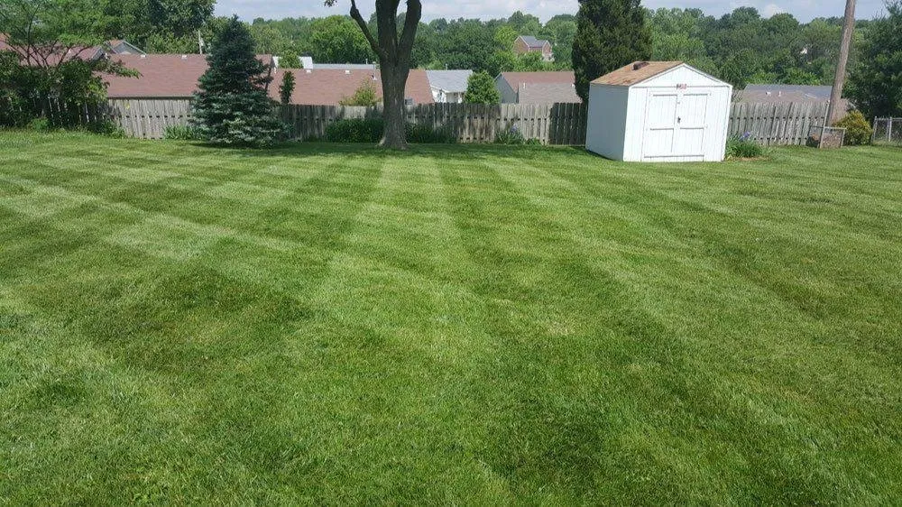 Top-rated residential landscaping near you in Festus, MO by Cardinal Lawn Care