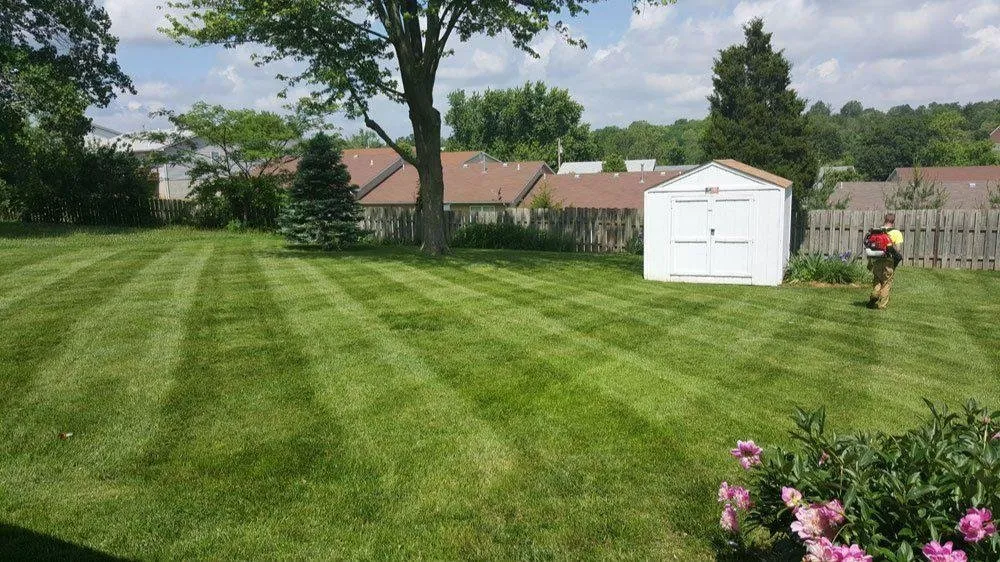 Reliable landscape installation experts serving Festus, MO - Cardinal Lawn Care