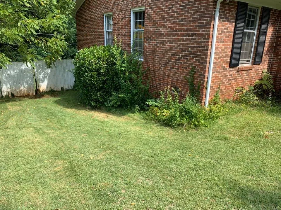 Expert residential landscaping in Monroe, NC - Cardinal Lawn Care