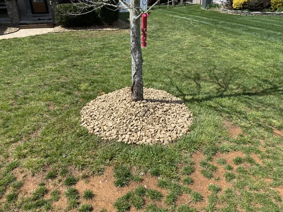 Reliable outdoor landscaping for year-round maintenance across Monroe, NC - Cardinal Lawn Care