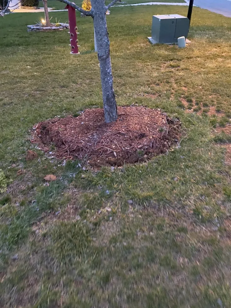 Expert lawn mowing service in Monroe, NC - Cardinal Lawn Care