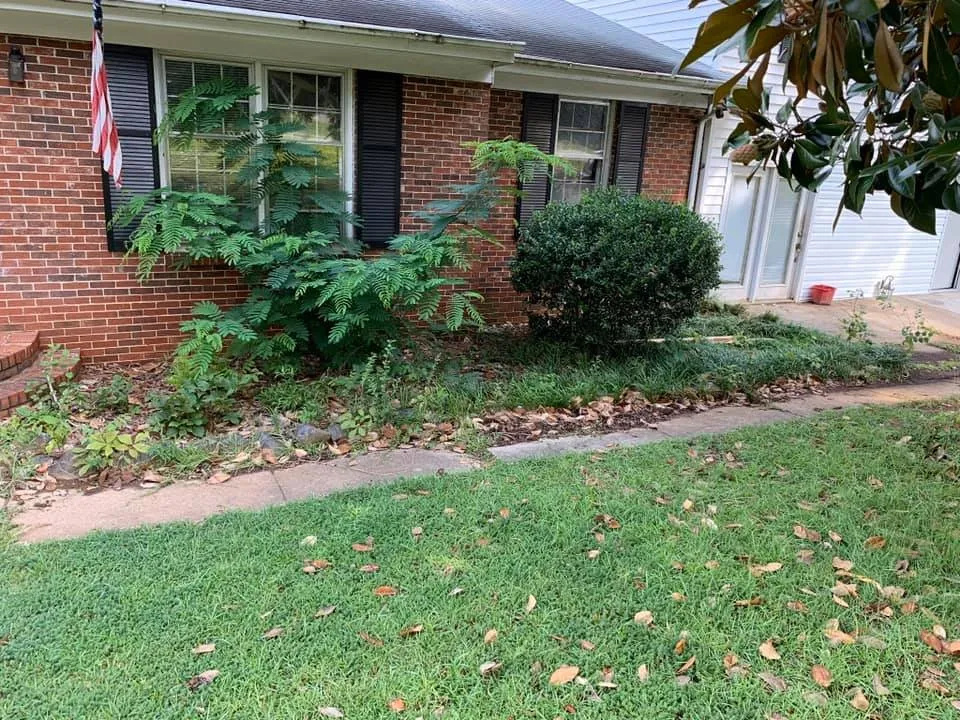 Top-rated yard maintenance experts serving Monroe, NC - Cardinal Lawn Care