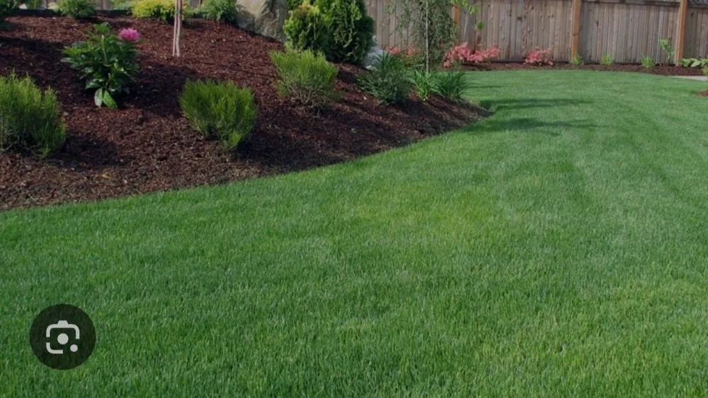 Custom landscaping services in Joplin, MO - Cardinal Mowing