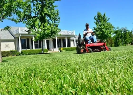 Cardinal Mowing Logo