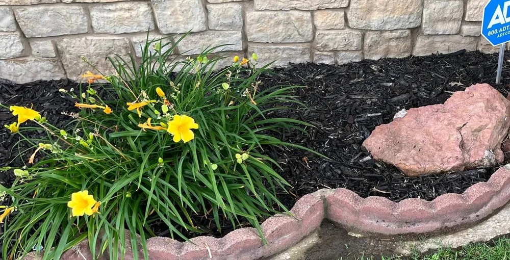 Top-rated landscape installation with custom design in Cushing, OK by Cardinal Outdoor Services