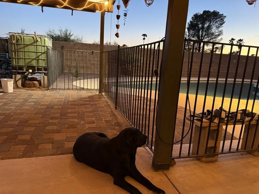 Affordable lawn mowing service near you in Tucson, AZ by Cardinal Professional Landscaping