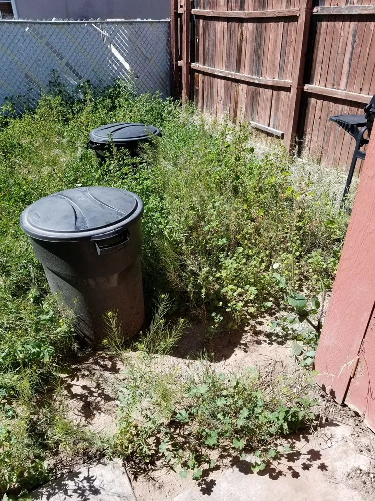 Expert garden landscaping in Tucson, AZ - Cardinal Professional Landscaping