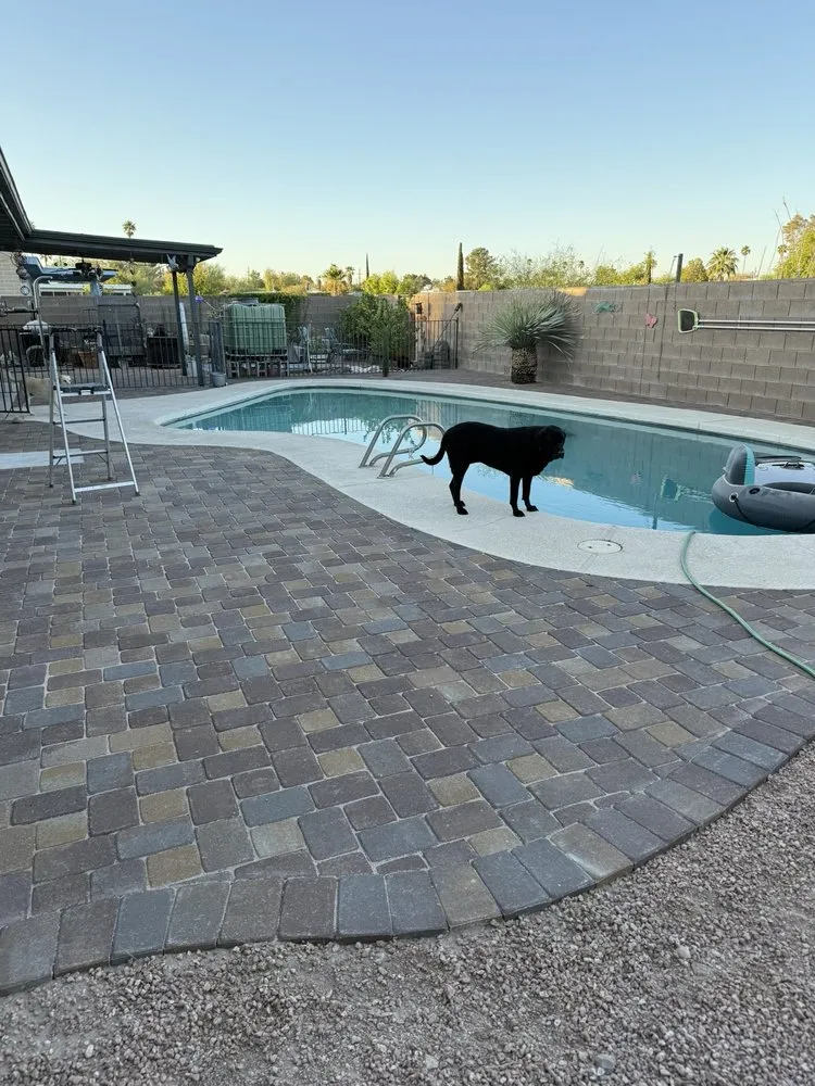 Expert lawn care service for beautiful yards in Tucson, AZ by Cardinal Professional Landscaping