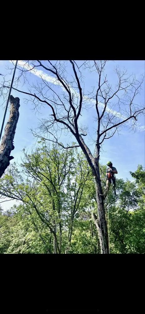 Professional landscape installation experts serving Aldie, VA - Cardinal Ridge Landscape