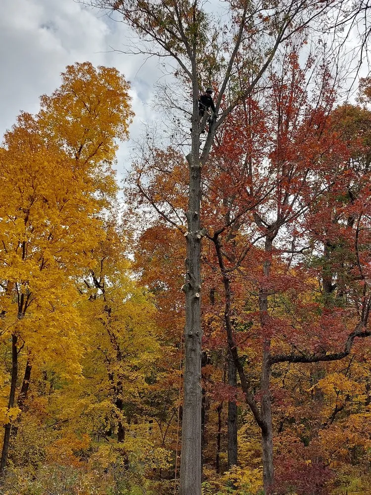 Top-rated outdoor landscaping in Aldie, VA - Cardinal Ridge Landscape