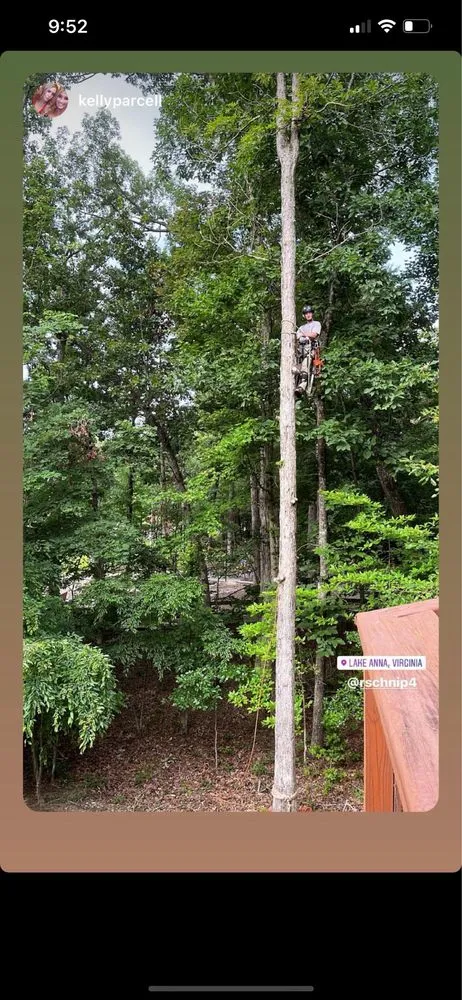 Custom yard cleanup service for outdoor upgrades in Aldie, VA by Cardinal Ridge Landscape