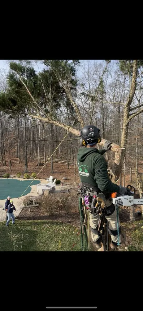 Professional outdoor landscaping for homes in Aldie, VA by Cardinal Ridge Landscape