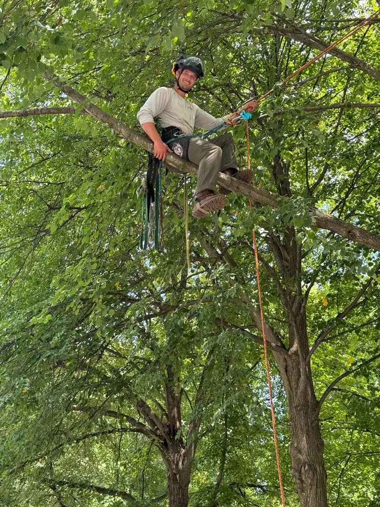 Local lawn mowing service experts serving Aldie, VA - Cardinal Ridge Landscape