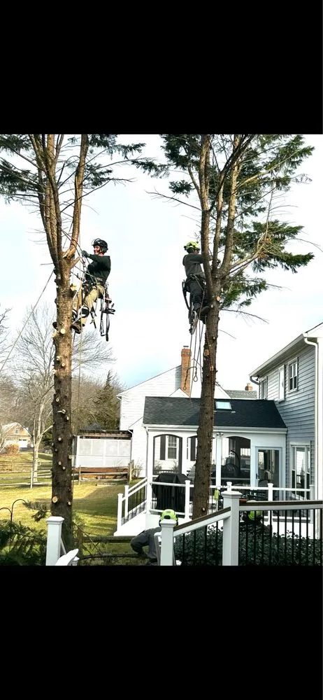 Professional garden landscaping in Aldie, VA - Cardinal Ridge Landscape