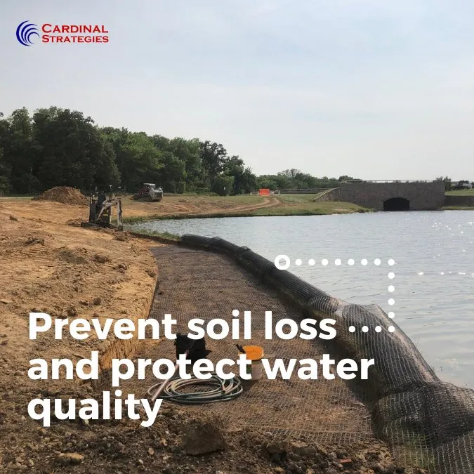 Local garden landscaping for outdoor upgrades across Wylie, TX - Cardinal Strategies