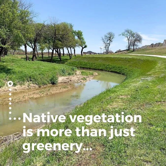 Trusted lawn care service near you in Wylie, TX by Cardinal Strategies