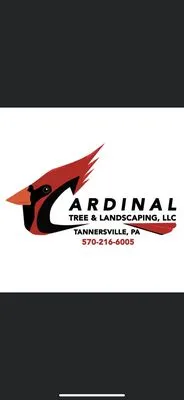 Cardinal Tree & Landscaping