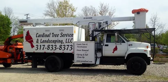 Professional garden landscaping for year-round maintenance across Indianapolis, IN - Cardinal Tree Service