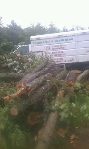 Top-rated outdoor landscaping in Indianapolis, IN - Cardinal Tree Service