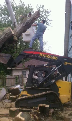 Local outdoor landscaping for homes across Indianapolis, IN - Cardinal Tree Service