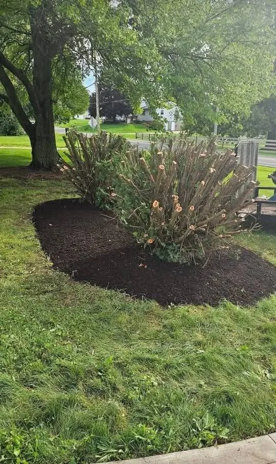 Expert landscape design with custom design in New Franklin, OH by Cardinal Yard Artisans