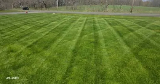 Local outdoor landscaping for homes across New Franklin, OH - Cardinal Yard Artisans