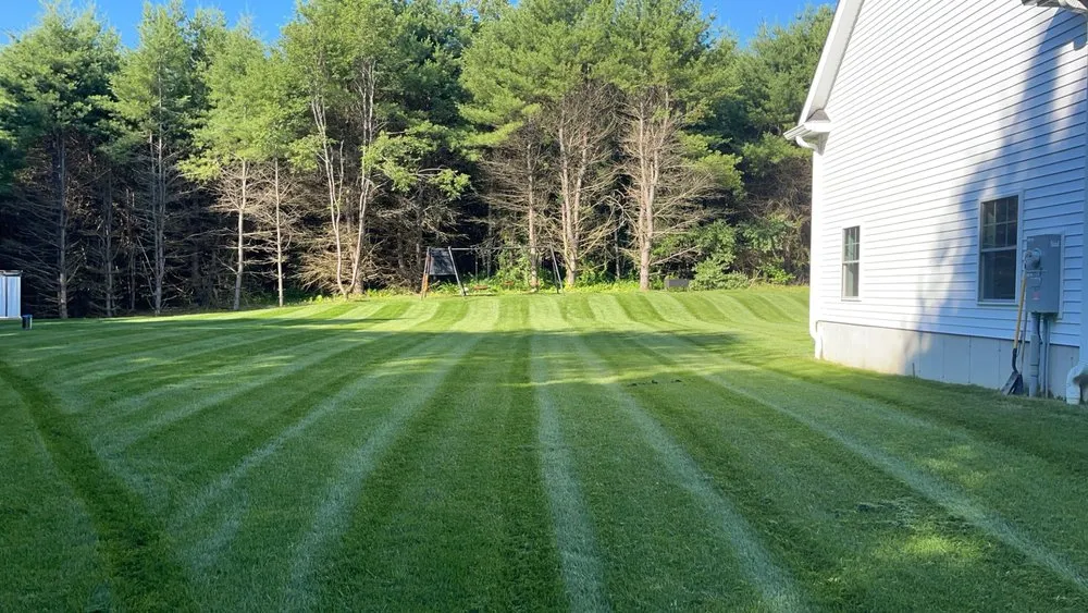 Trusted yard cleanup service in Southbridge, MA by Cardinals Landscape