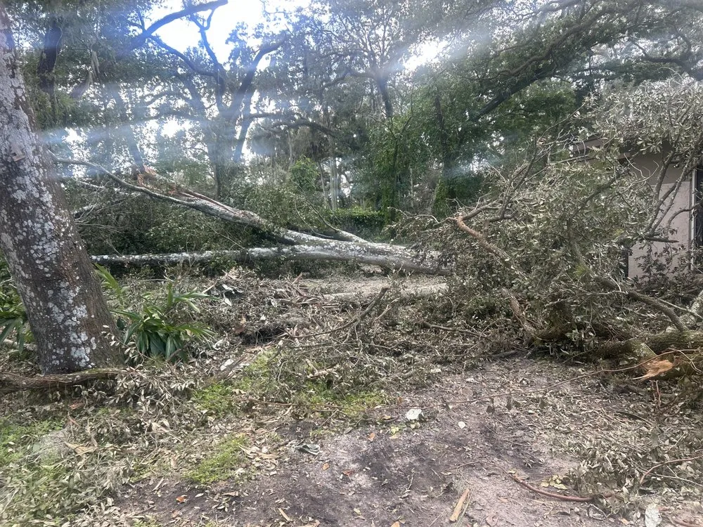 Reliable residential landscaping in Lakeland, FL by Cardinals Property Preservation