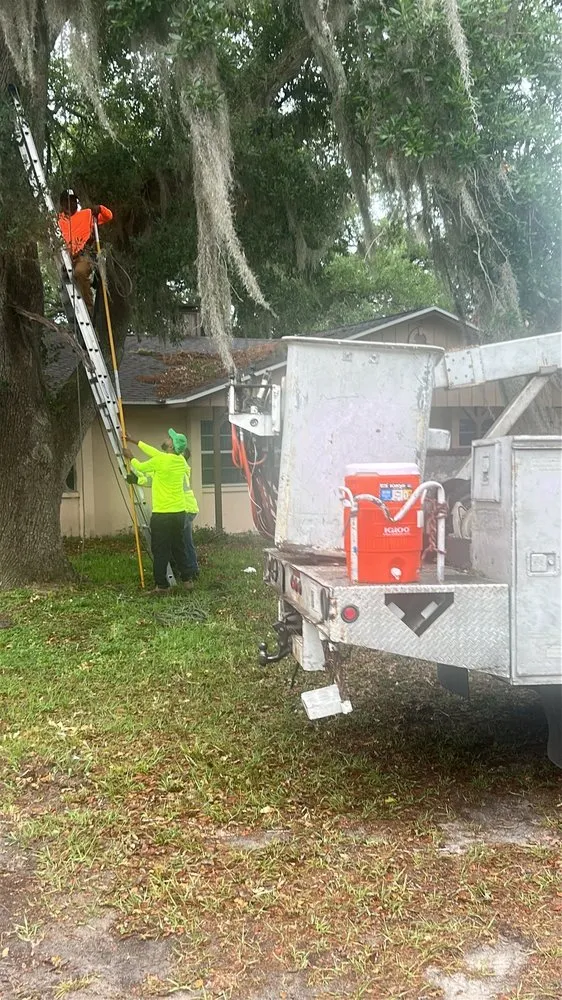 Expert landscape installation for residential properties in Lakeland, FL by Cardinals Property Preservation