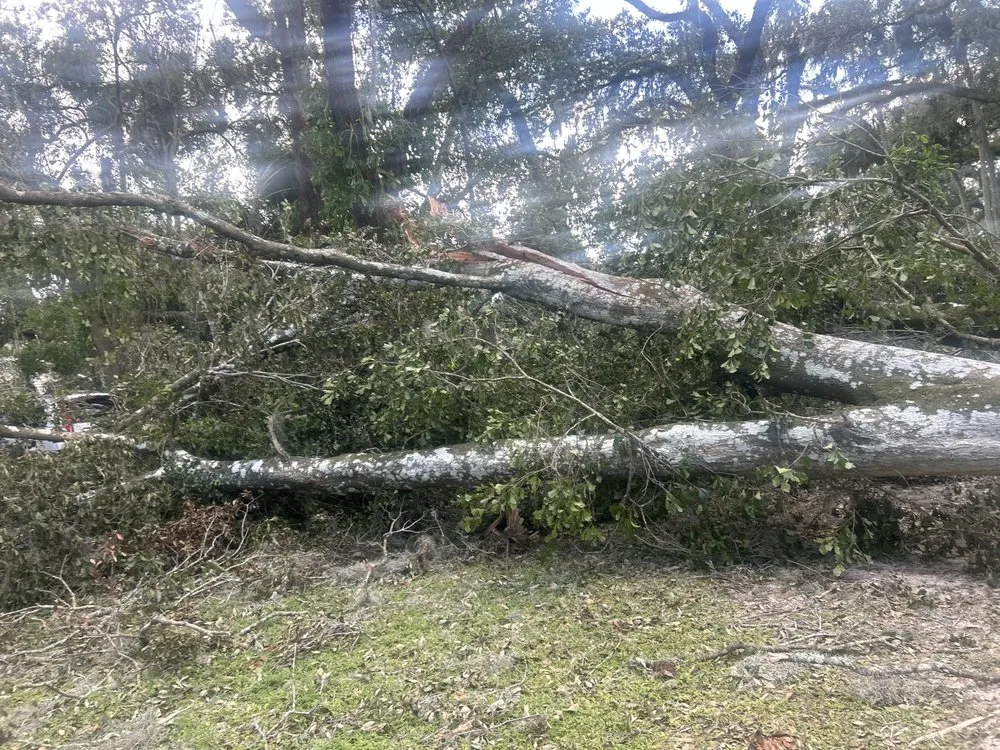 Expert landscape design for outdoor upgrades in Lakeland, FL by Cardinals Property Preservation