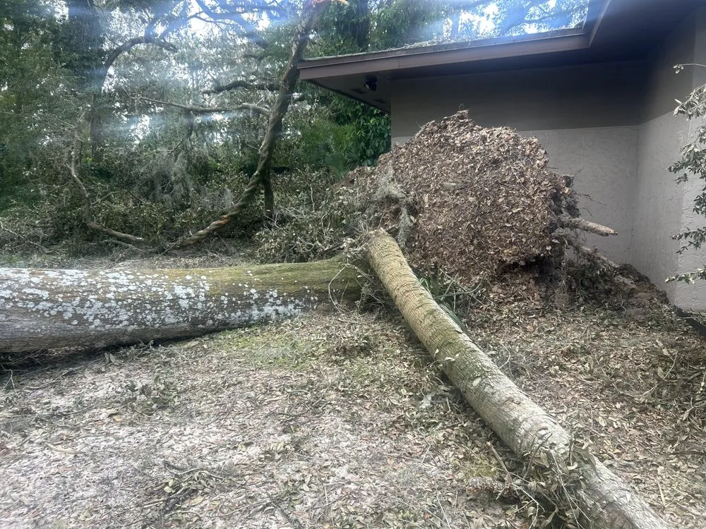 Affordable lawn mowing service in Lakeland, FL - Cardinals Property Preservation