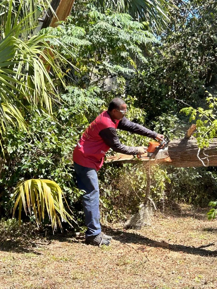 Top-rated landscape design in Lakeland, FL by Cardinals Property Preservation