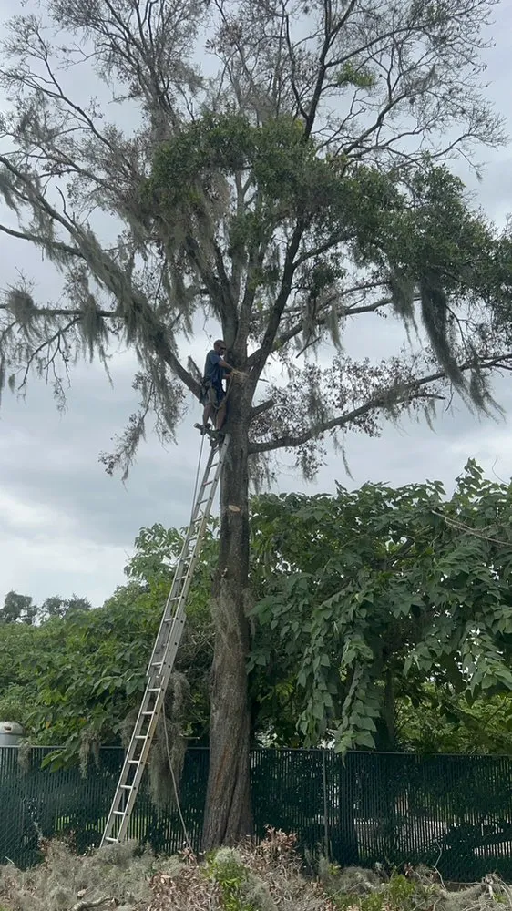 Top-rated yard maintenance in Lakeland, FL - Cardinals Property Preservation