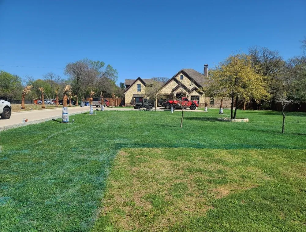 Expert outdoor landscaping in Jacksonville, FL - Cardona Landscaping