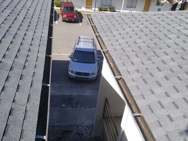 Custom residential landscaping for residential properties in Jacksonville, FL by Cardona Landscaping