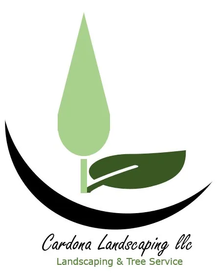 Top-rated outdoor landscaping for year-round maintenance in Jacksonville, FL by Cardona Landscaping