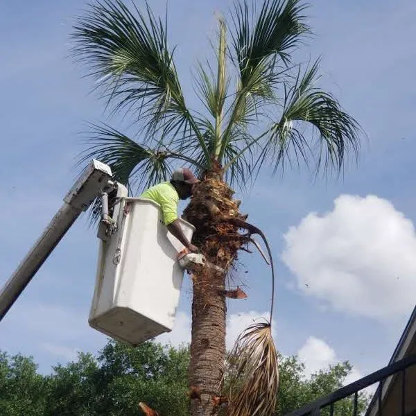 Professional garden landscaping in Jacksonville, FL by Cardona Landscaping