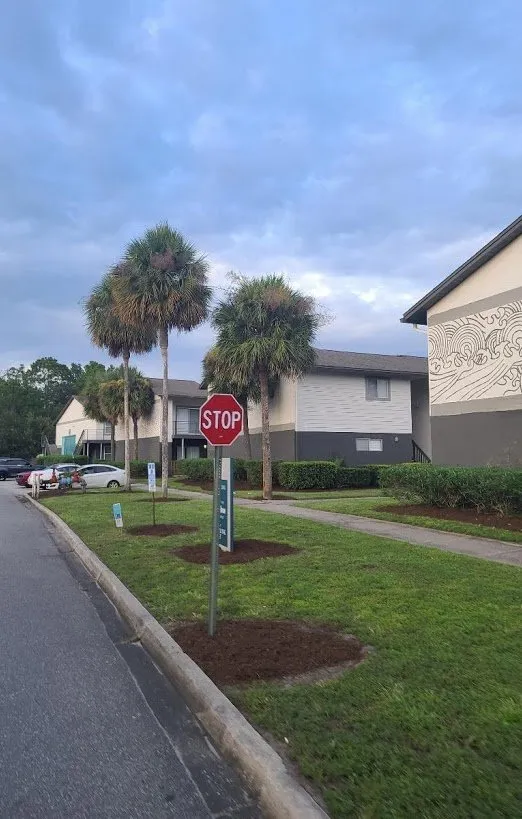 Top-rated yard maintenance experts serving Jacksonville, FL - Cardona Landscaping