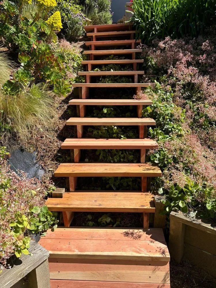 Trusted garden landscaping experts serving San Francisco, CA - Cardona Landscaping