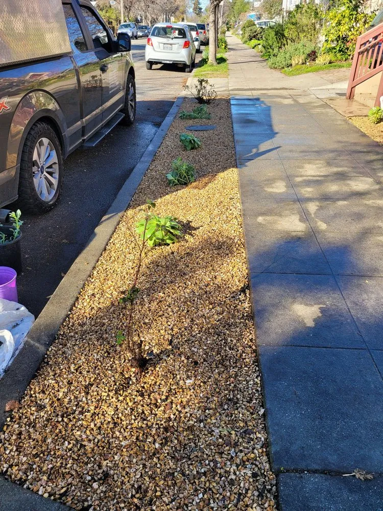 Expert yard cleanup service with custom design across San Francisco, CA - Cardona Landscaping