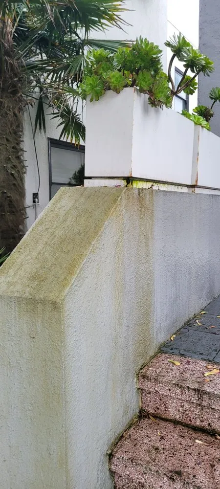 Local yard cleanup service near you in San Francisco, CA by Cardona Landscaping