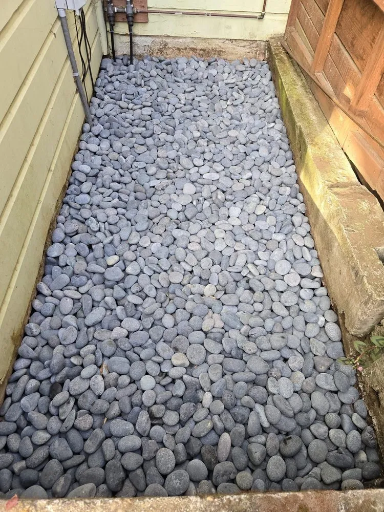 Reliable lawn care service in San Francisco, CA by Cardona Landscaping